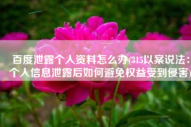 百度泄露个人资料怎么办(315以案说法：个人信息泄露后如何避免权益受到侵害)