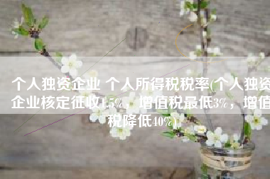 个人独资企业 个人所得税税率(个人独资企业核定征收1.5%，增值税最低3%，增值税降低40%)