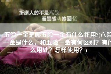 五险一金是哪五险一金有什么作用?(六险一金是什么，和五险一金有何区别？有什么用处？怎样使用？)