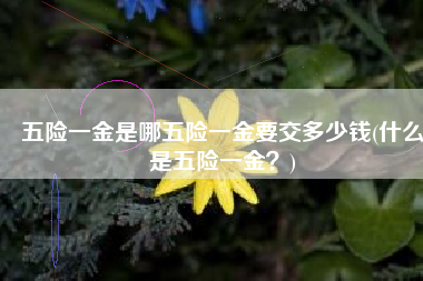 五险一金是哪五险一金要交多少钱(什么是五险一金？)