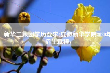 新华三集团学历要求(安徽新华学院2020年招生章程)