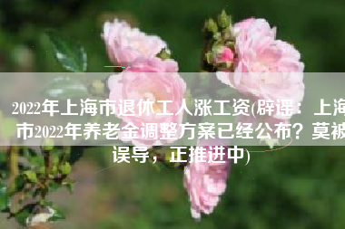 2022年上海市退休工人涨工资(辟谣：上海市2022年养老金调整方案已经公布？莫被误导，正推进中)