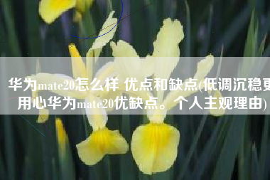 华为mate20怎么样 优点和缺点(低调沉稳更用心华为mate20优缺点。个人主观理由)
