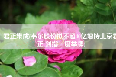 君正集成(韦尔股份拟不超40亿增持北京君正 剑指二度举牌)