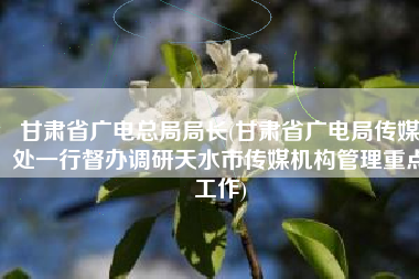 甘肃省广电总局局长(甘肃省广电局传媒处一行督办调研天水市传媒机构管理重点工作)