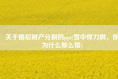 关于婚后财产分割的ppt(雪中悍刀啊，你为什么那么慢)