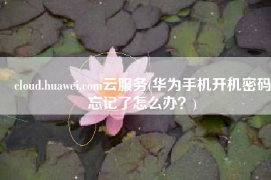 cloud.huawei.com云服务(华为手机开机密码忘记了怎么办？)