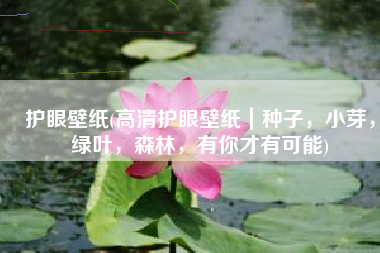 护眼壁纸(高清护眼壁纸｜种子，小芽，绿叶，森林，有你才有可能)