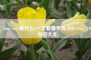 hms core是什么(一文看懂华为 HMS Core 4.0 内容大全)