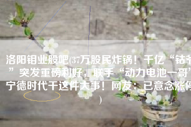 洛阳钼业股吧(37万股民炸锅！千亿“钴爷”突发重磅利好，联手“动力电池一哥”宁德时代干这件大事！网友：已意念涨停)