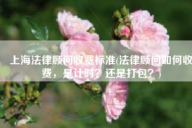 上海法律顾问收费标准(法律顾问如何收费，是计时？还是打包？)