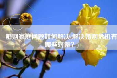 婚姻家庭问题如何解决(解决婚姻危机有哪些对策？)