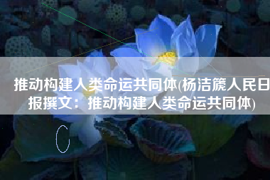 推动构建人类命运共同体(杨洁篪人民日报撰文：推动构建人类命运共同体)