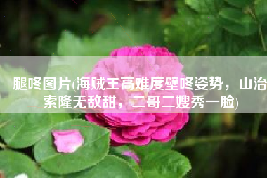 腿咚图片(海贼王高难度壁咚姿势，山治索隆无敌甜，二哥二嫂秀一脸)