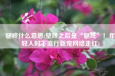 腿咚什么意思(壁咚之后是“腿咚”！年轻人时下流行新宠网络走红)