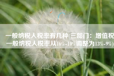 一般纳税人税率有几种(三部门：增值税一般纳税人税率从16%-10%调整为13%-9%)