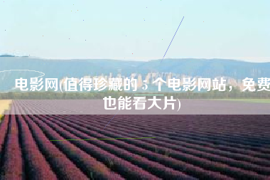 电影网(值得珍藏的 5 个电影网站，免费也能看大片)