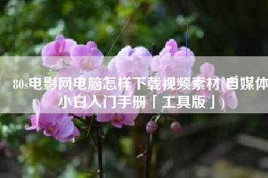 80s电影网电脑怎样下载视频素材(自媒体小白入门手册「工具版」)