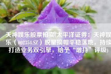 天神娱乐股票拍卖(太平洋证券：天神娱乐（002354.SZ）脱星摘帽平稳落地，持续打造业务双引擎，给予“增持”评级)