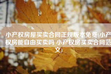 小产权房屋买卖合同正规版本免费(小产权房能自由买卖吗 小产权房买卖合同范文)
