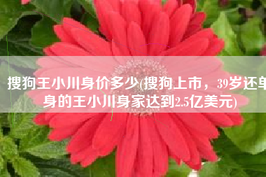 搜狗王小川身价多少(搜狗上市，39岁还单身的王小川身家达到2.5亿美元)