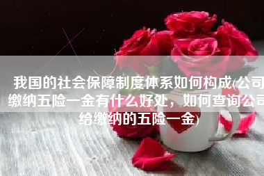 我国的社会保障制度体系如何构成(公司缴纳五险一金有什么好处，如何查询公司给缴纳的五险一金)