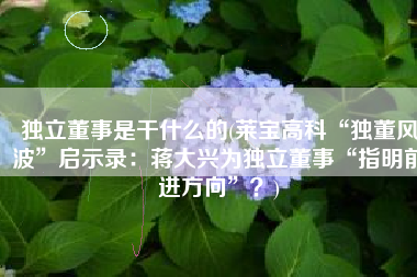 独立董事是干什么的(莱宝高科“独董风波”启示录：蒋大兴为独立董事“指明前进方向”？)