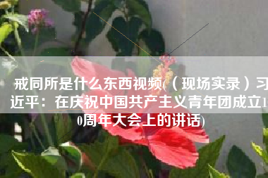 戒同所是什么东西视频(（现场实录）习近平：在庆祝中国共产主义青年团成立100周年大会上的讲话)