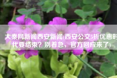 大秦网新闻西安新闻(西安公交5折优惠时代要结束？别着急，官方回应来了)