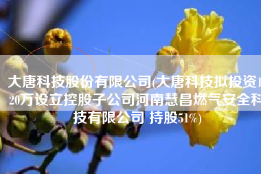 大唐科技股份有限公司(大唐科技拟投资1020万设立控股子公司河南慧昌燃气安全科技有限公司 持股51%)