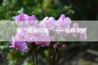 新“桂林印象”——桂林银行