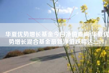 华夏优势增长基金今日净值查询(华夏优势增长混合基金最新净值跌幅达2.28%)