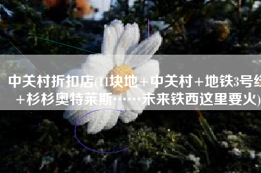 中关村折扣店(11块地+中关村+地铁3号线+杉杉奥特莱斯……未来铁西这里要火)