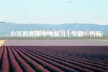 心弦的读音(中考复习｜专题：仿写)