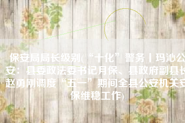 保安局局长级别(“十化”警务丨玛沁公安：县委政法委书记月保、县政府副县长赵勇刚调度“五一”期间全县公安机关安保维稳工作)