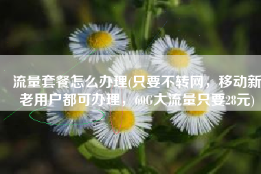 流量套餐怎么办理(只要不转网，移动新老用户都可办理，60G大流量只要28元)