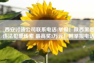 西安讨债公司联系电话(举报！陕西黑恶违法犯罪线索 最高奖3万元！附举报电话！)