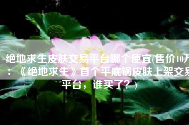 绝地求生皮肤交易平台哪个便宜(售价10万：《绝地求生》首个平底锅皮肤上架交易平台，谁买了？)