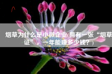 烟草为什么是小微企业(拥有一张“烟草证”，一年能赚多少钱？)