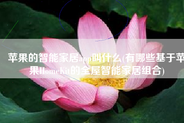 苹果的智能家居app叫什么(有哪些基于苹果HomeKit的全屋智能家居组合)