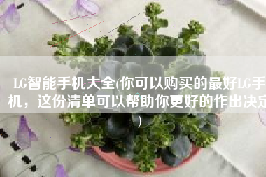 LG智能手机大全(你可以购买的最好LG手机，这份清单可以帮助你更好的作出决定)