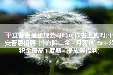 平安普惠是正规公司吗可以去上班吗(平安普惠招聘｜|六险二金+月薪1W-2W+公积金最高+底薪+提成等福利)