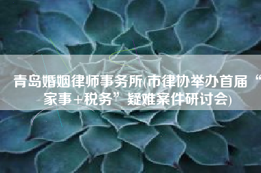 青岛婚姻律师事务所(市律协举办首届“家事+税务”疑难案件研讨会)