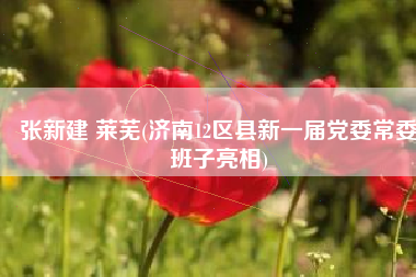 张新建 莱芜(济南12区县新一届党委常委班子亮相)