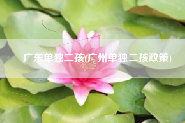 广东单独二孩(广州单独二孩政策)