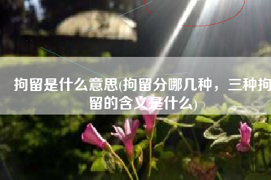 拘留是什么意思(拘留分哪几种，三种拘留的含义是什么)