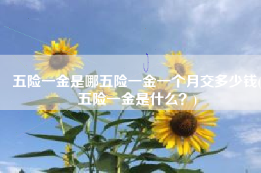 五险一金是哪五险一金一个月交多少钱(五险一金是什么？)
