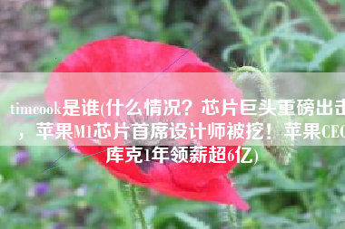 timcook是谁(什么情况？芯片巨头重磅出击，苹果M1芯片首席设计师被挖！苹果CEO库克1年领薪超6亿)