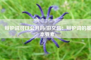 辩护词可以公开吗(田文昌：辩护词的基本要素)