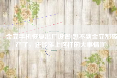 金立手机恢复出厂设置(想不到金立都破产了，还能摊上这样的大事情啊)